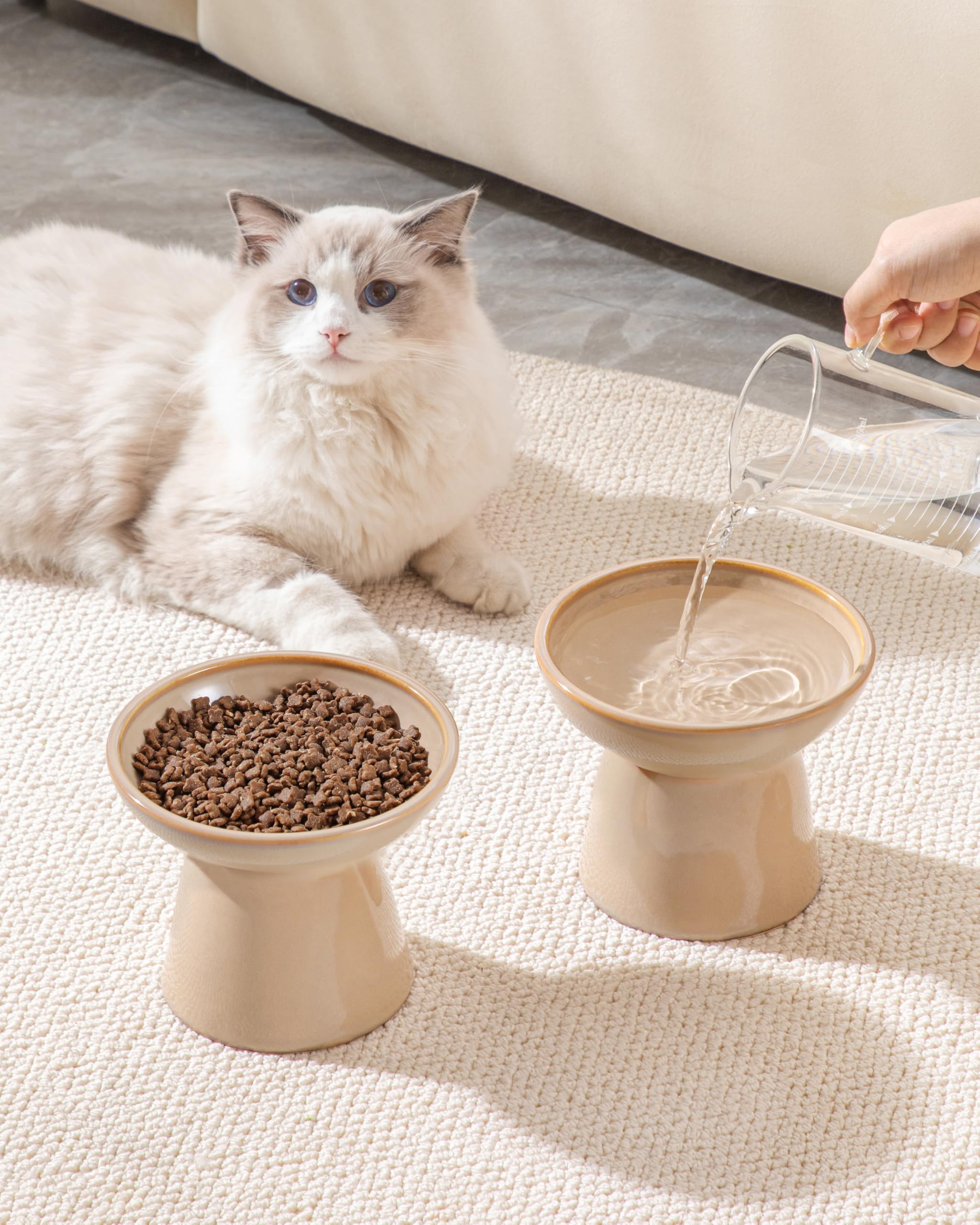Vancasso elevated cat bowls brown finish adds durable, stylish kitchen accessory.