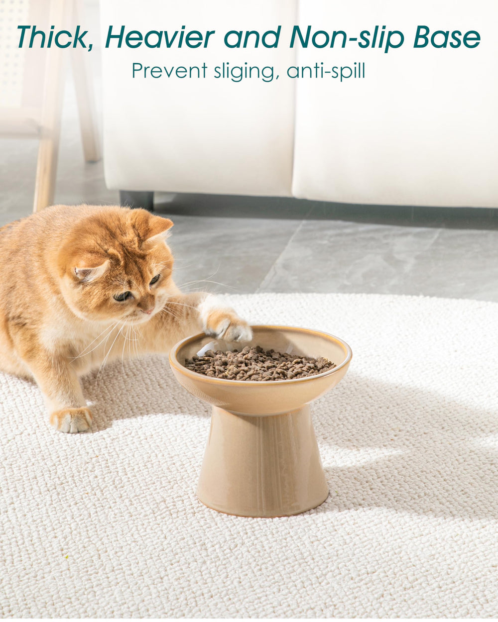 Vancasso elevated cat bowls stable-base setup reduces spills during meals.