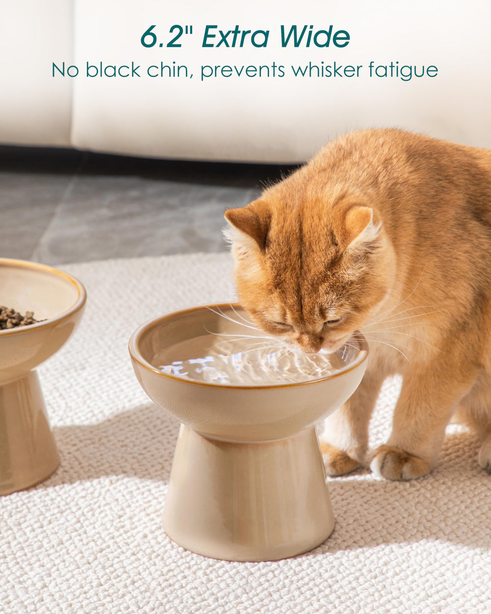 Vancasso elevated cat bowls whisker-friendly wide shallow design for whisker relief.
