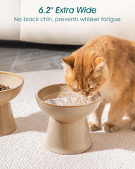 Vancasso elevated cat bowls whisker-friendly wide shallow design for whisker relief.