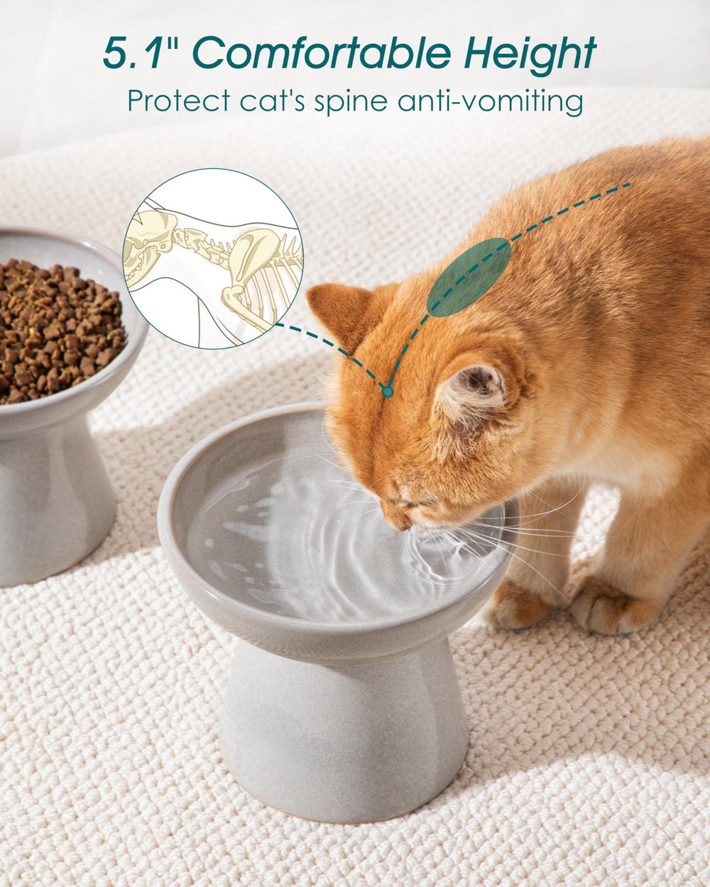 Vancasso elevated cat bowls 6.2-inch wide shallow bowl grey - reduces whisker fatigue