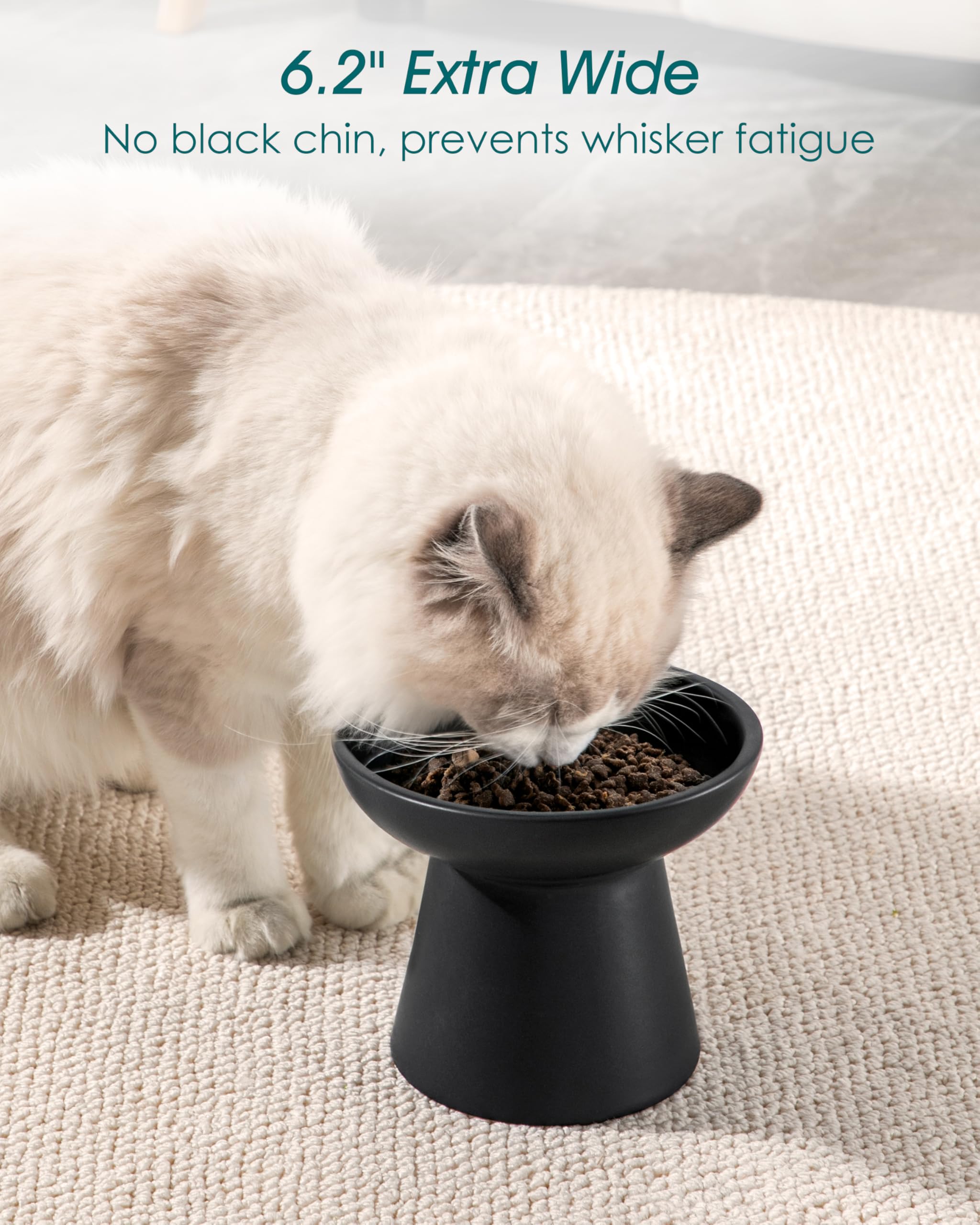 Vancasso 6.2-inch wide shallow bowl reduces whisker fatigue.