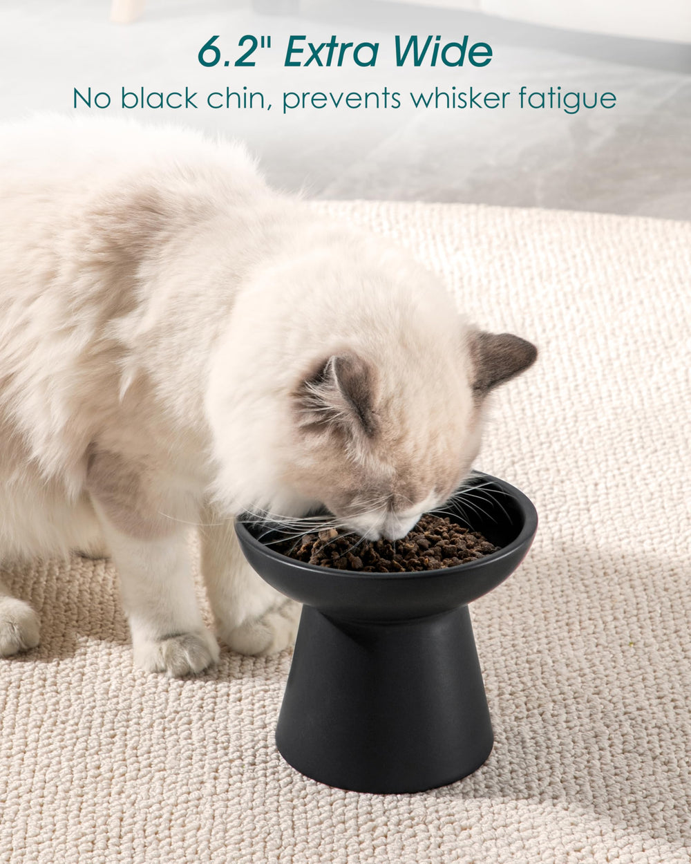 Vancasso 6.2-inch wide shallow bowl reduces whisker fatigue.