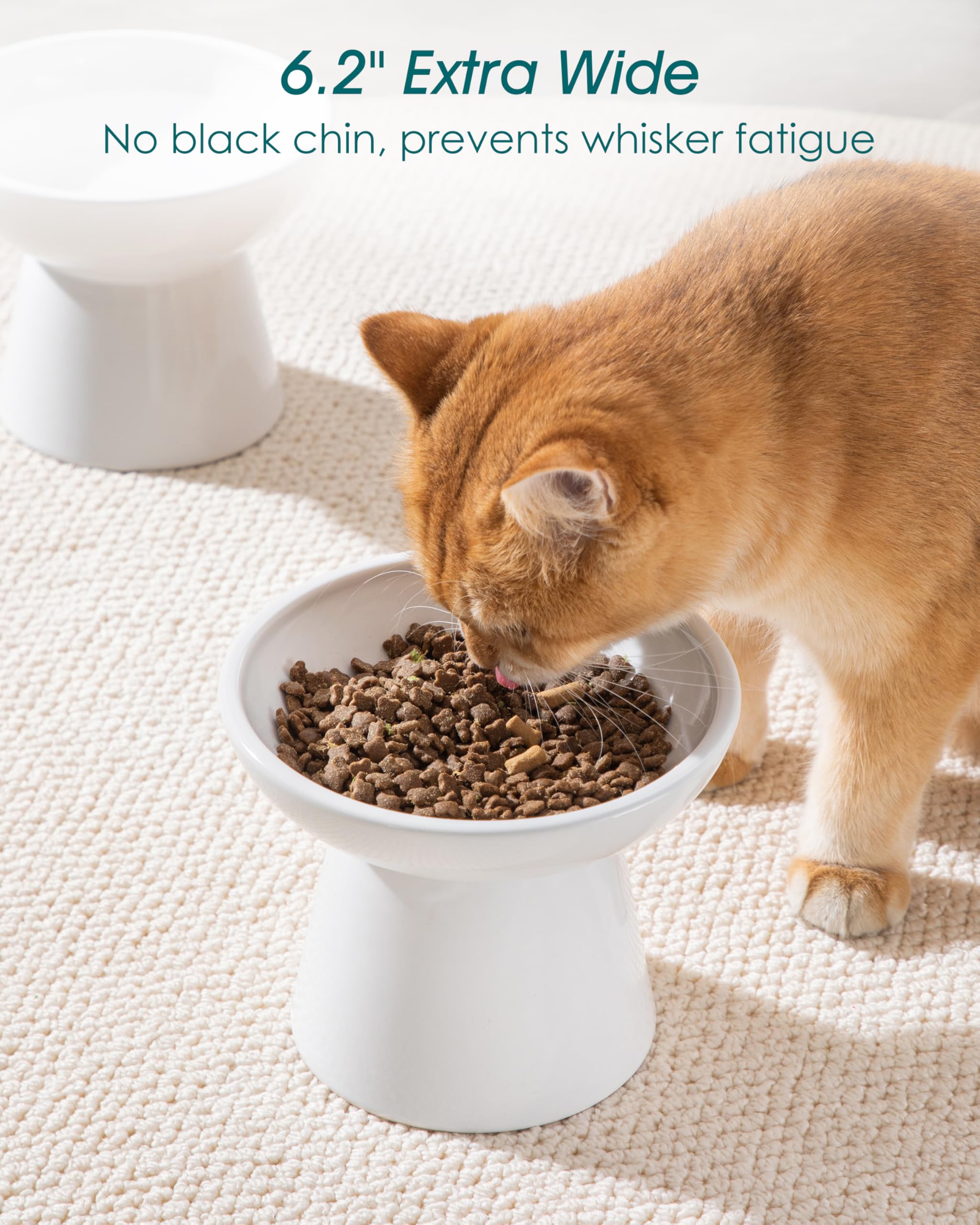 Vancasso elevated cat bowls anti-slip base—stable during mealtime to prevent spills.