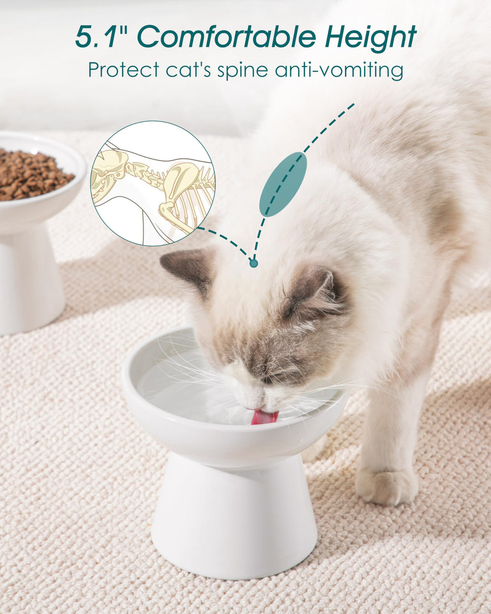 Vancasso elevated cat bowls dish inside—dual bowls support portions and hydration.