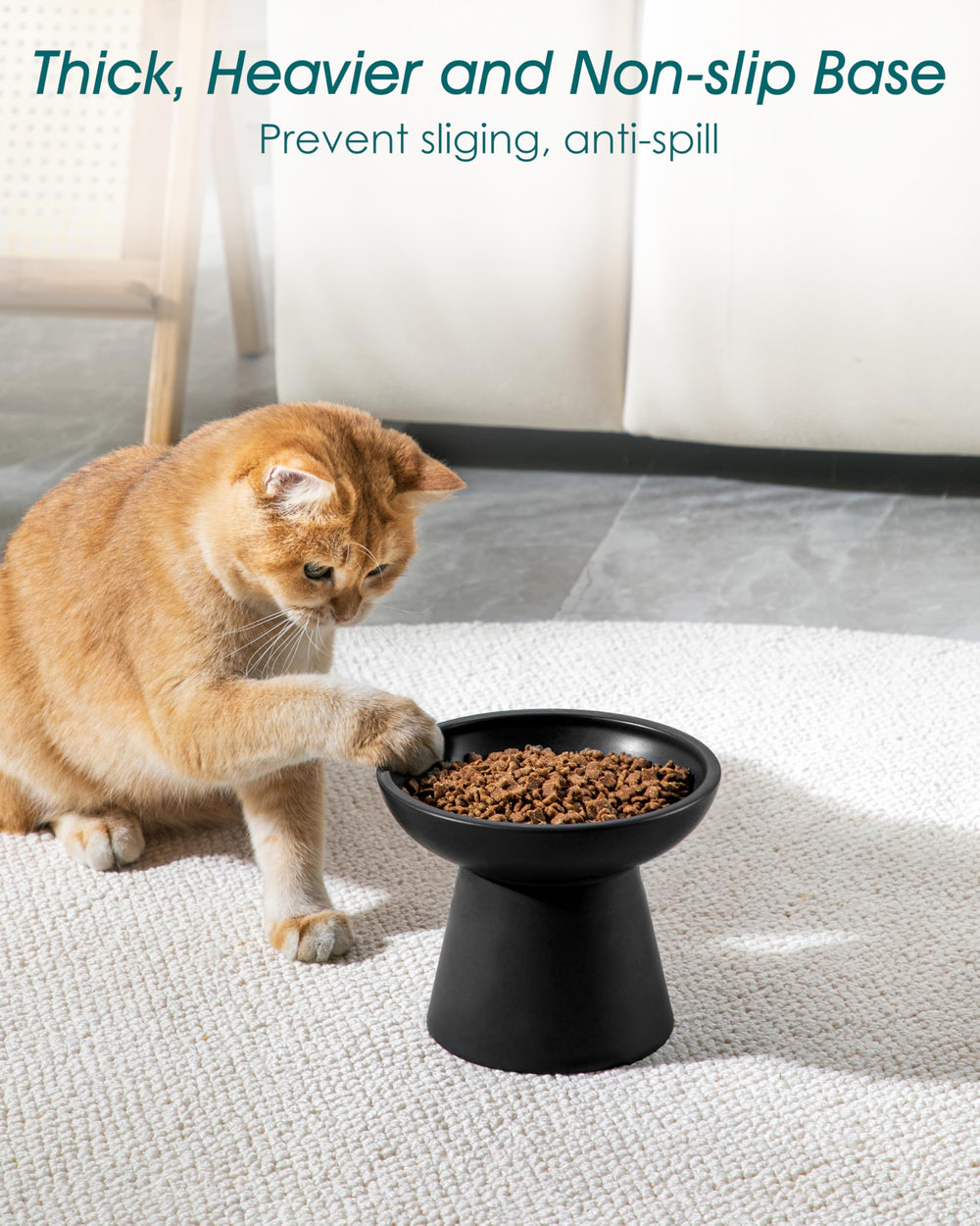 Vancasso ceramic surface is lead-free and cadmium-free for safe feeding.