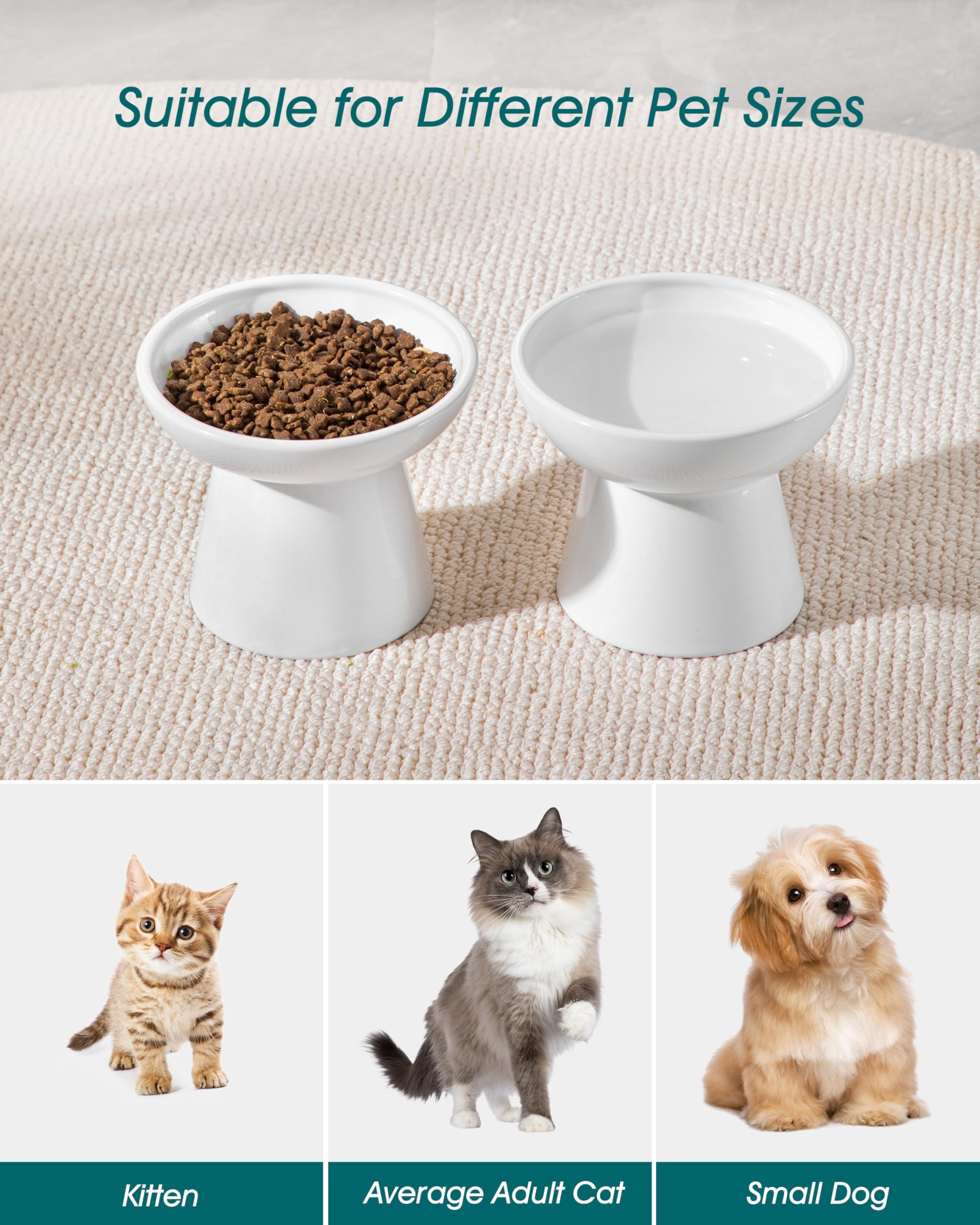 Vancasso elevated cat bowls multi-cat use—great for households with cats and small dogs.