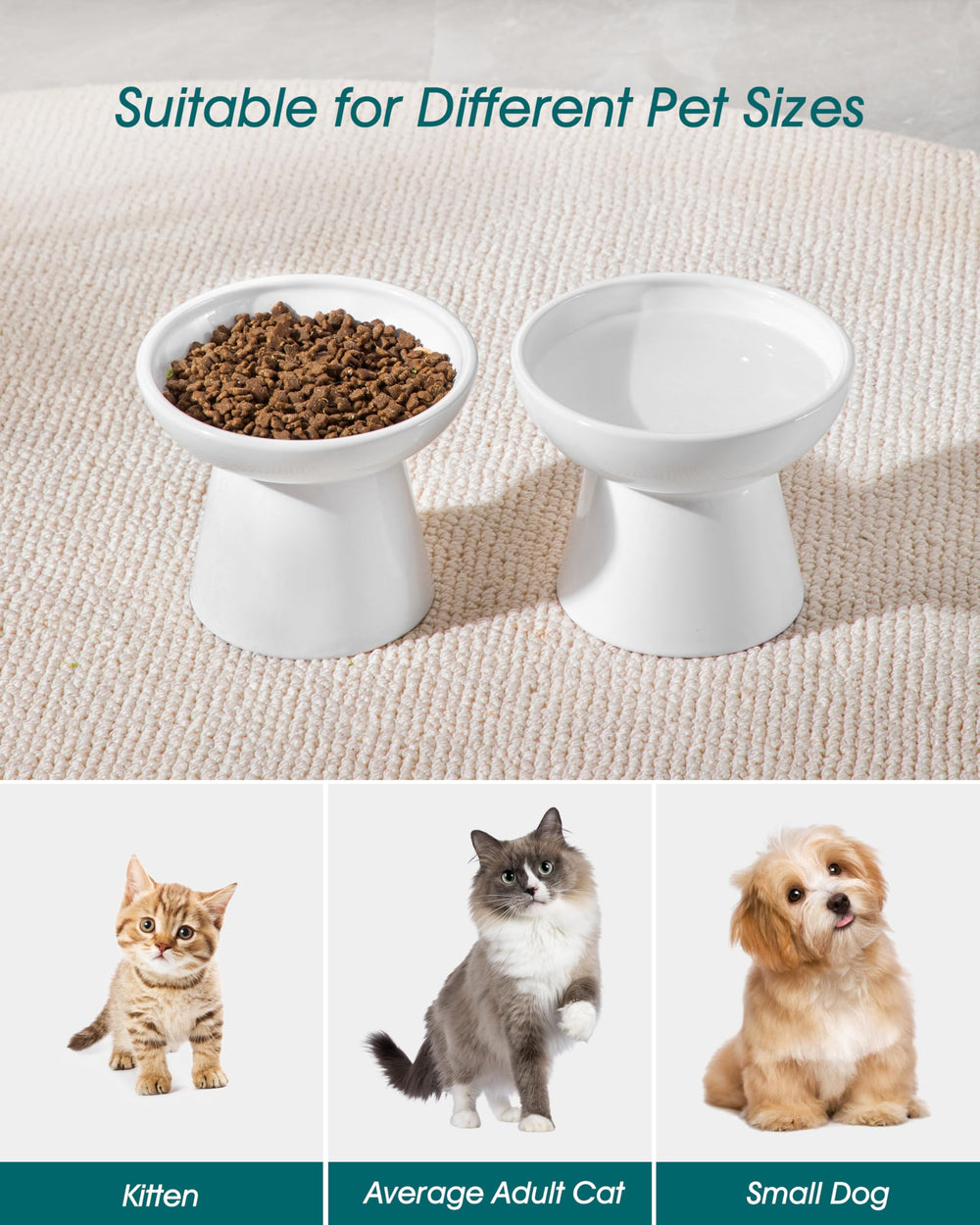 Vancasso elevated cat bowls multi-cat use—great for households with cats and small dogs.