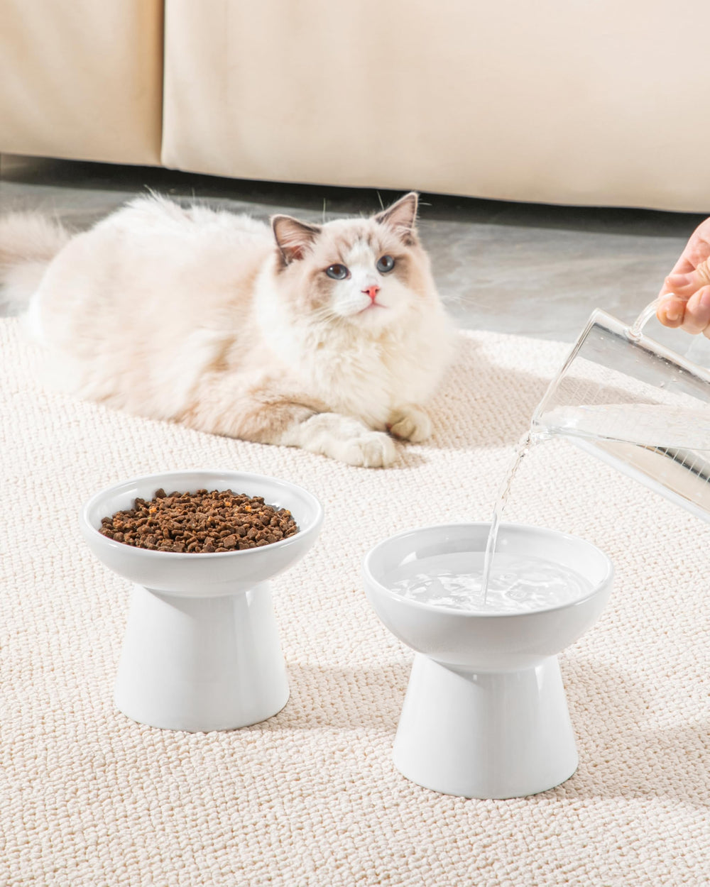 Vancasso elevated cat bowls packaging—compact 2-pack ready for gifting.