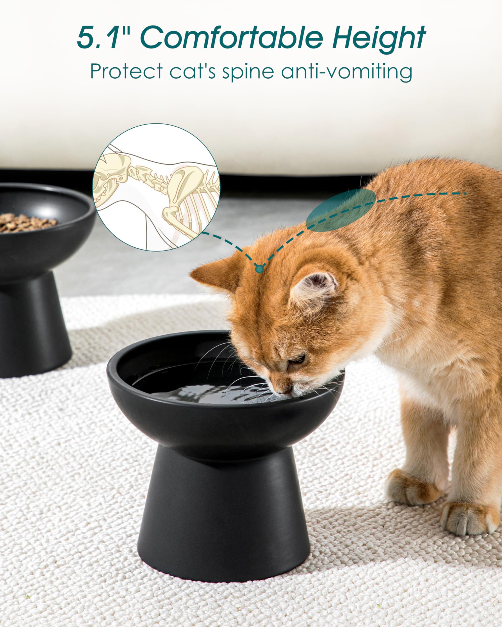 Vancasso whisker fatigue relief from wide shallow bowl design.