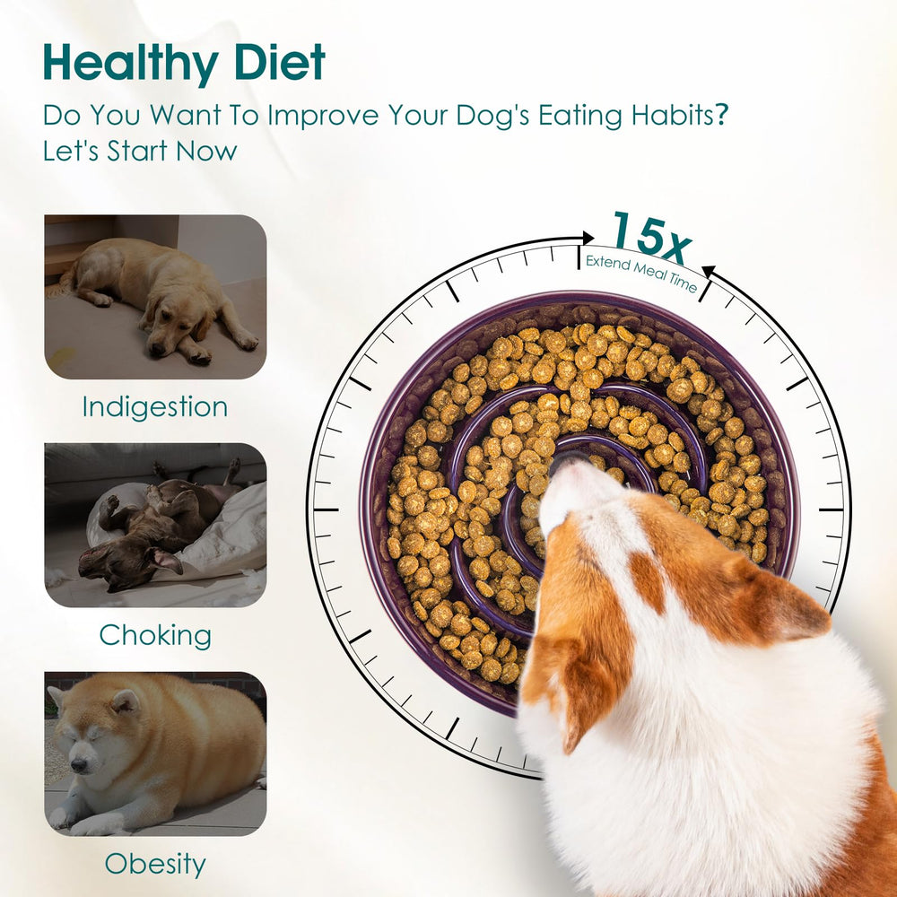 Vancasso puzzle maze design engages dogs during meals and slows eating.