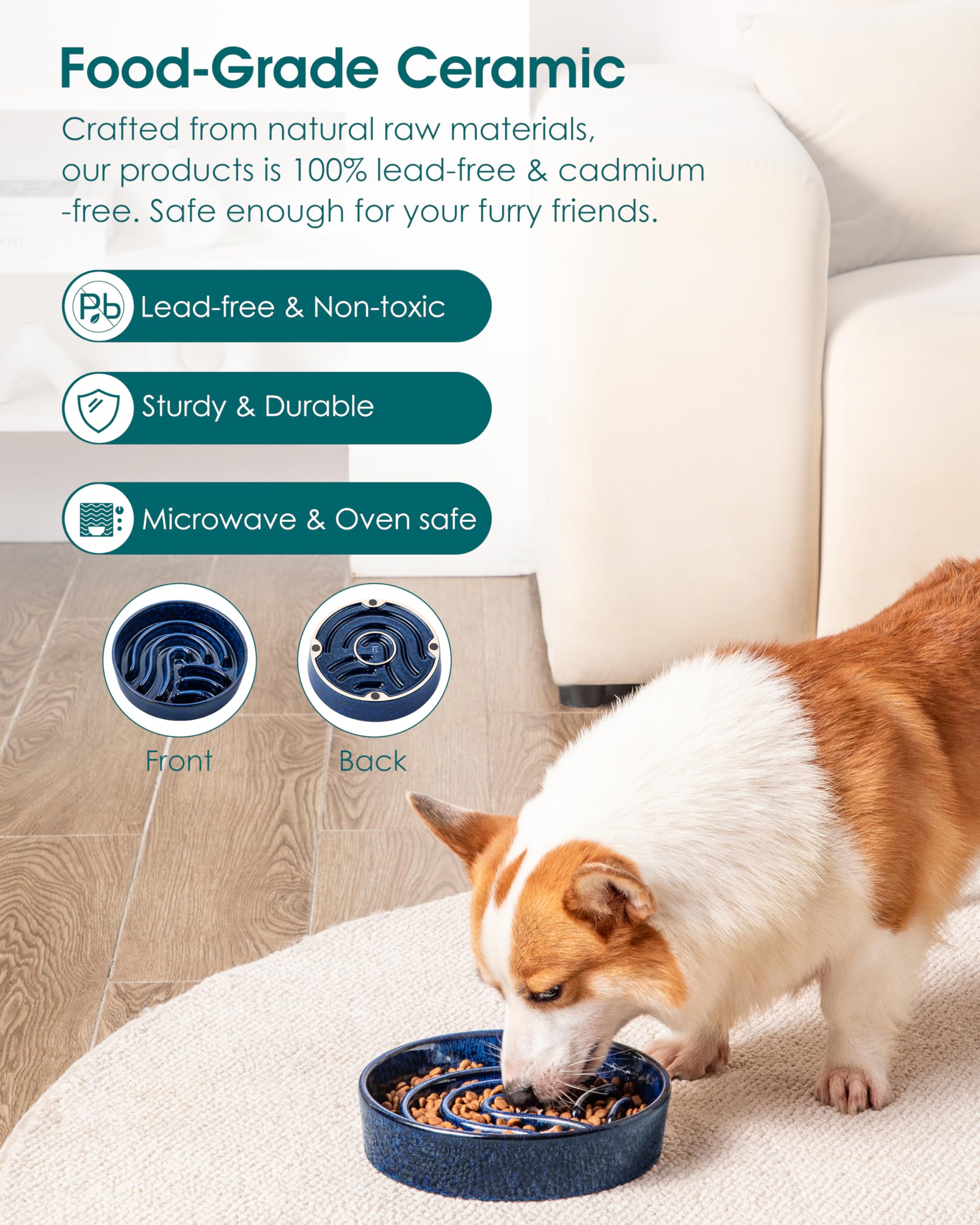 Vancasso 1.5 cup bowl fits small to medium dogs for measured portions.