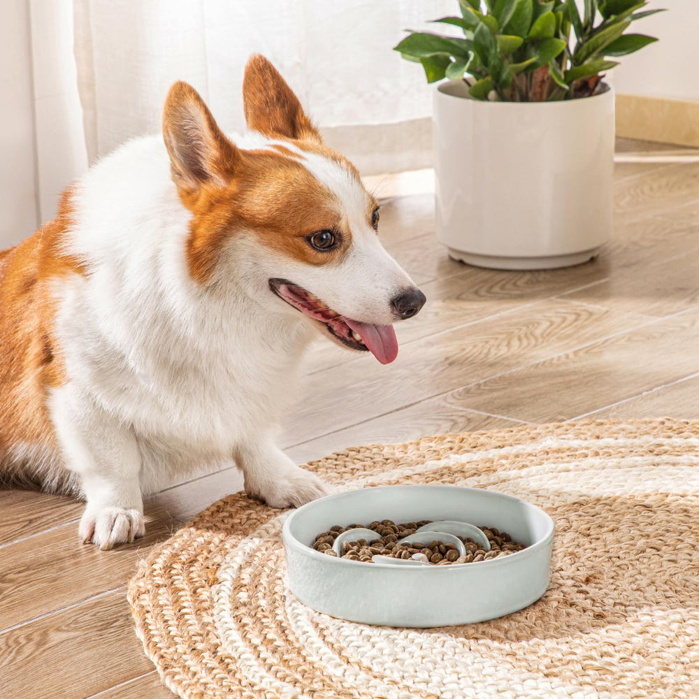 Vancasso slow feeder bowl 1.5 cup capacity ideal for portions