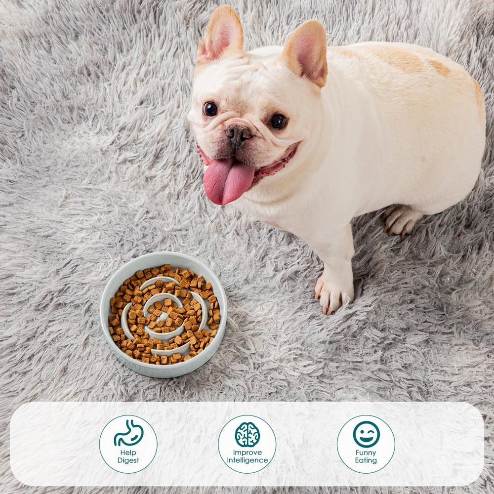 Vancasso 15x slower eating design engages pets during meals.