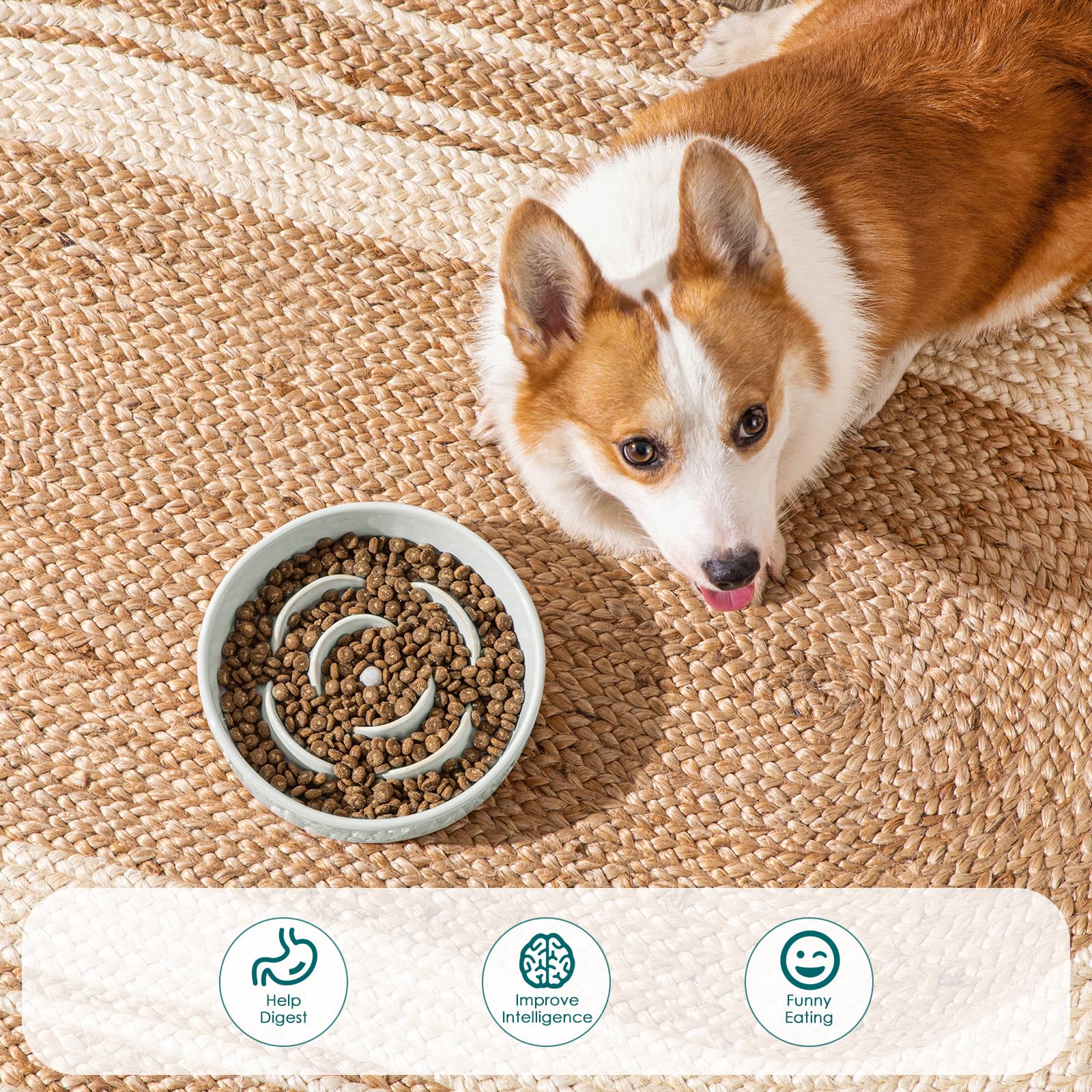 Vancasso slow feeder bowl anti-slip bottom prevents spills on the floor