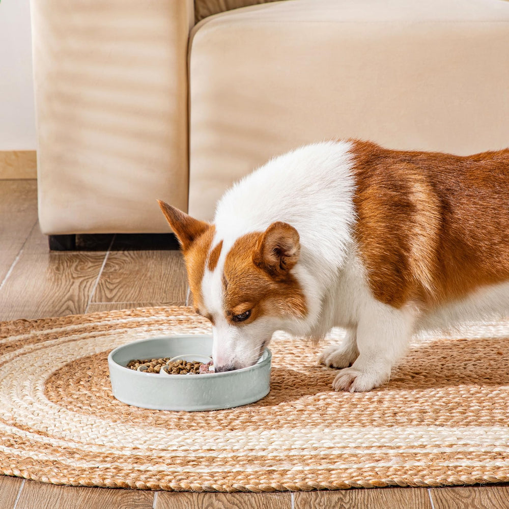 Vancasso slow feeder bowl care and cleaning highlights non-porous ceramic