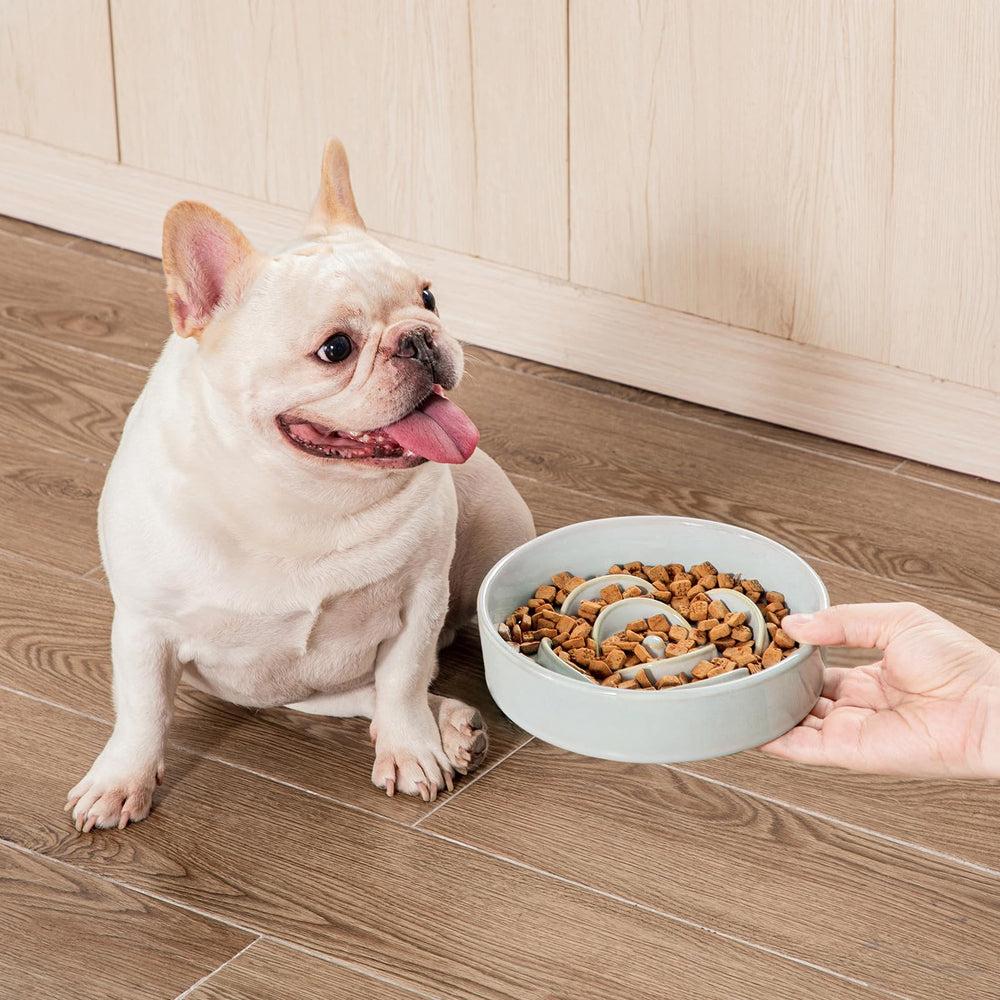 Vancasso 15x slower eating design reduces gulping during meals.