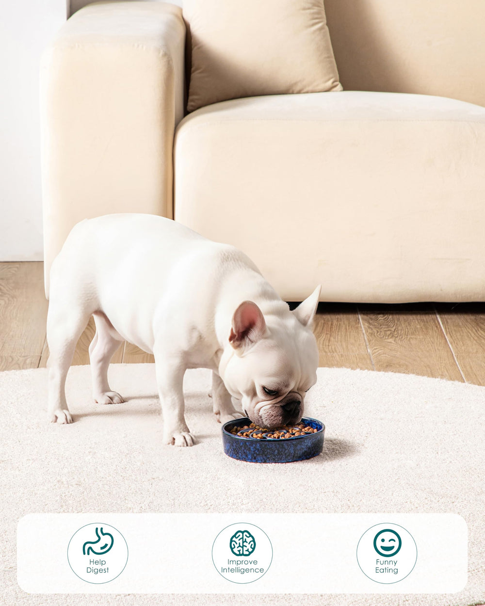 Vancasso slow feeder bowl seamless glaze resists sticking for easy cleaning