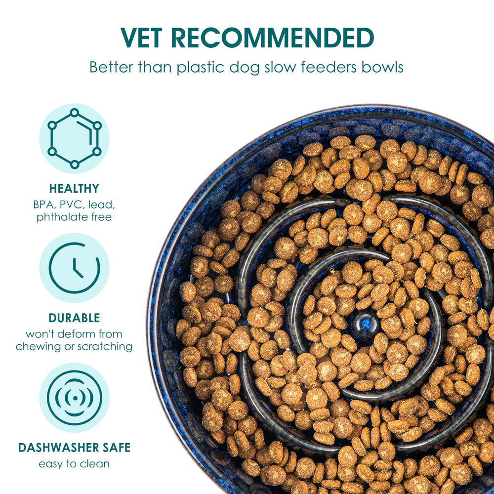 Vancasso slow-feeder bowl ridges maze close-up illustrates 15x slower eating concept.