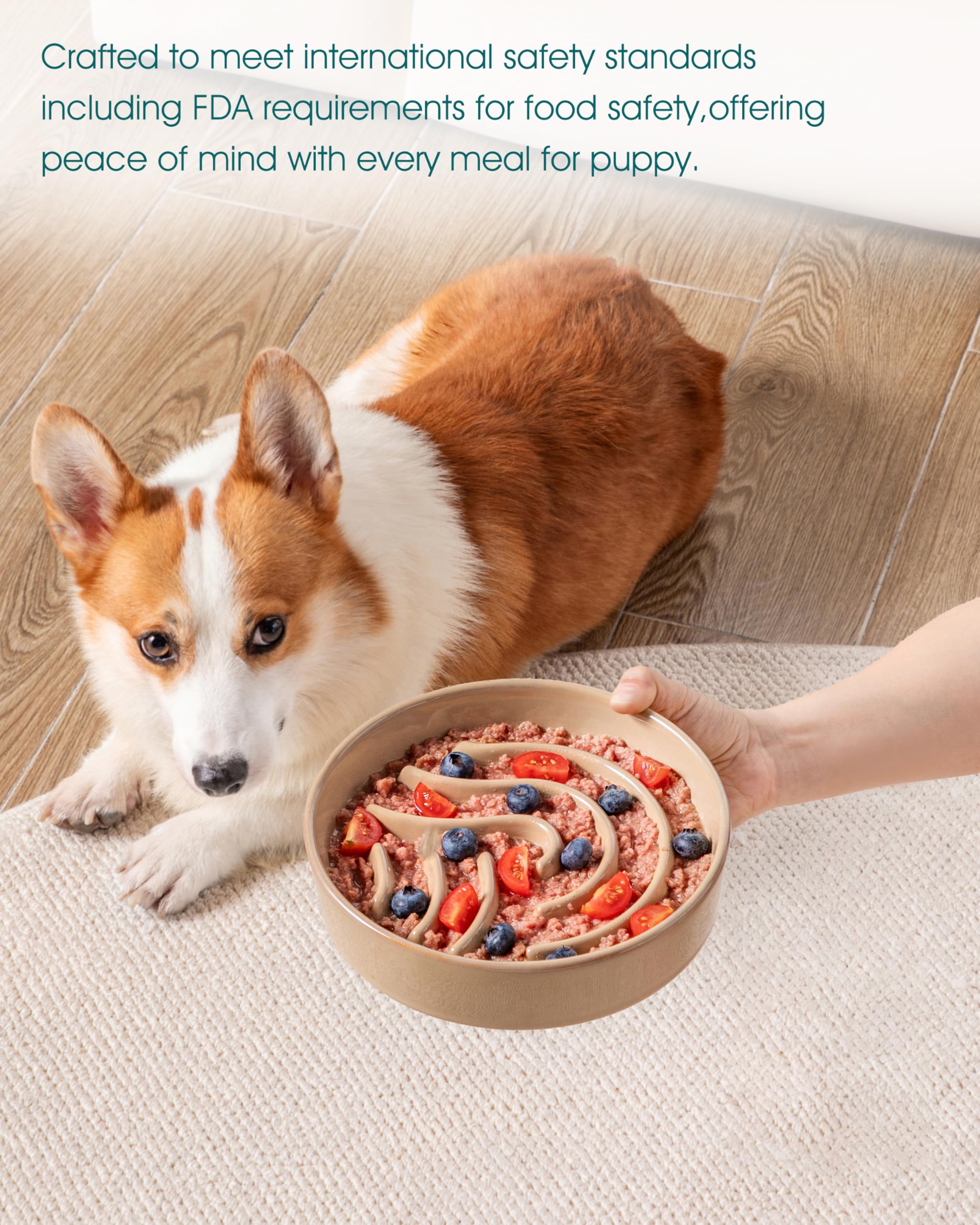 Vancasso slow-feeder-bowl for small to medium dogs suits busy households.