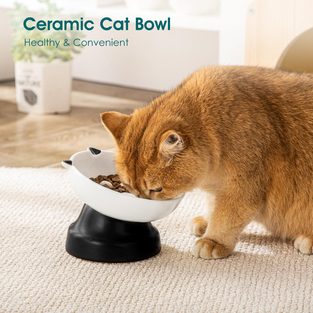 Vancasso bowl supports wet or dry food in a sturdy ceramic dish.