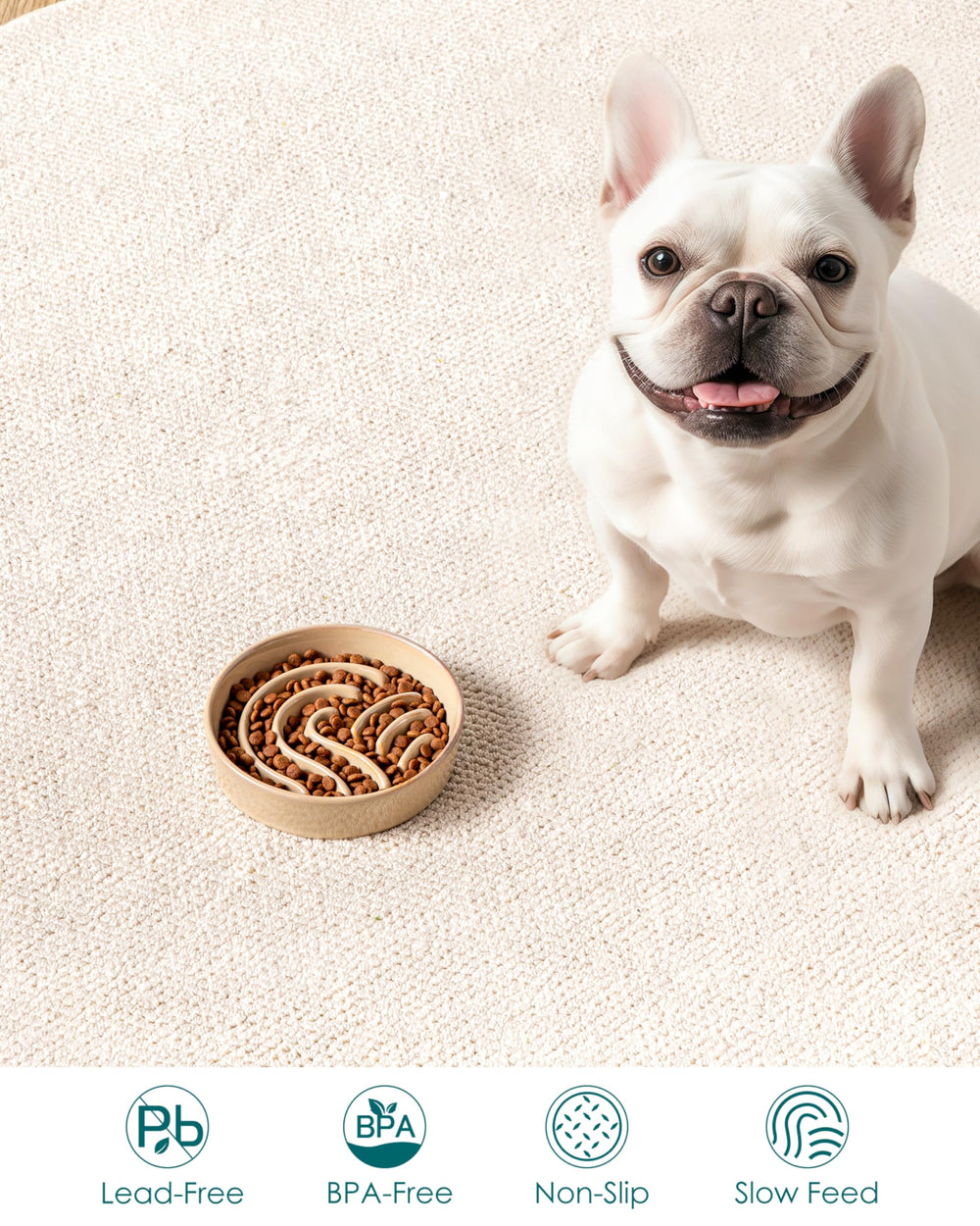 Vancasso slow feeder dish supports 0.6-cup capacity for small breeds.