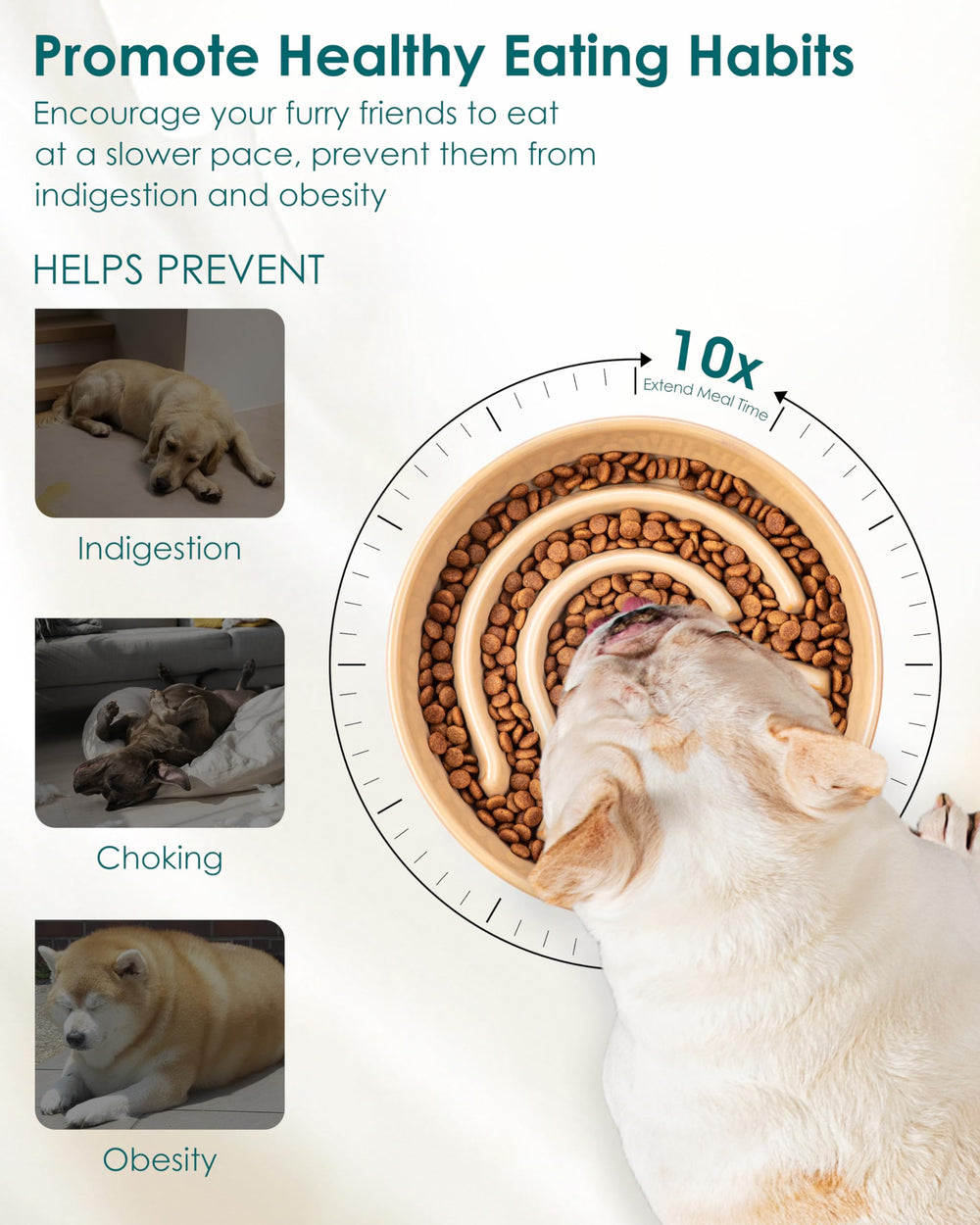 Vancasso slow feeder dish with stable base reduces tipping during mealtime.