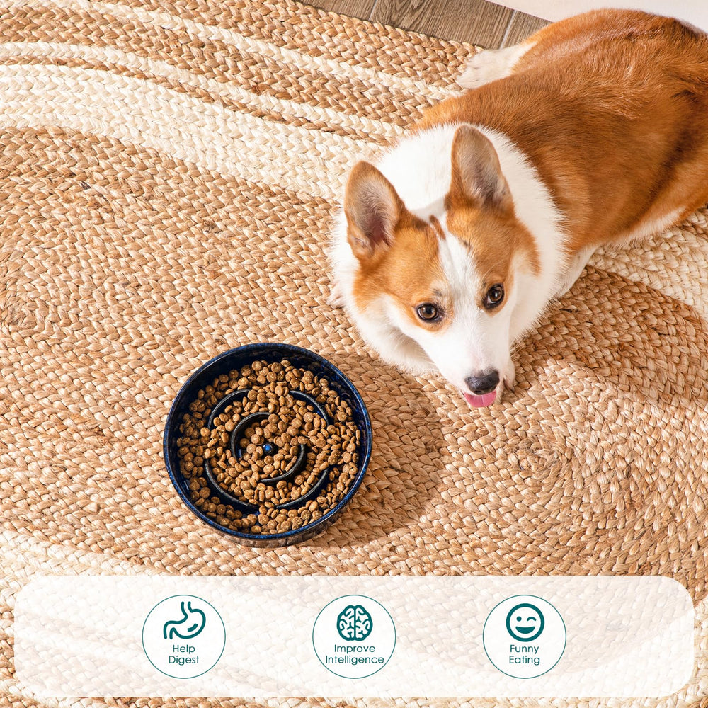 Vancasso slow-feeder bowl shows 1.5-cup capacity for portion control.