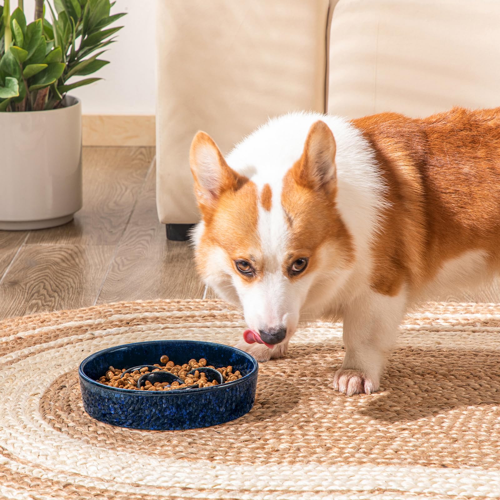Vancasso slow-feeder ceramic resists stains for clean meals.