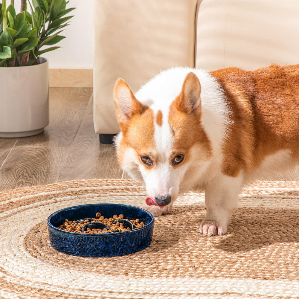 Vancasso slow-feeder ceramic resists stains for clean meals.