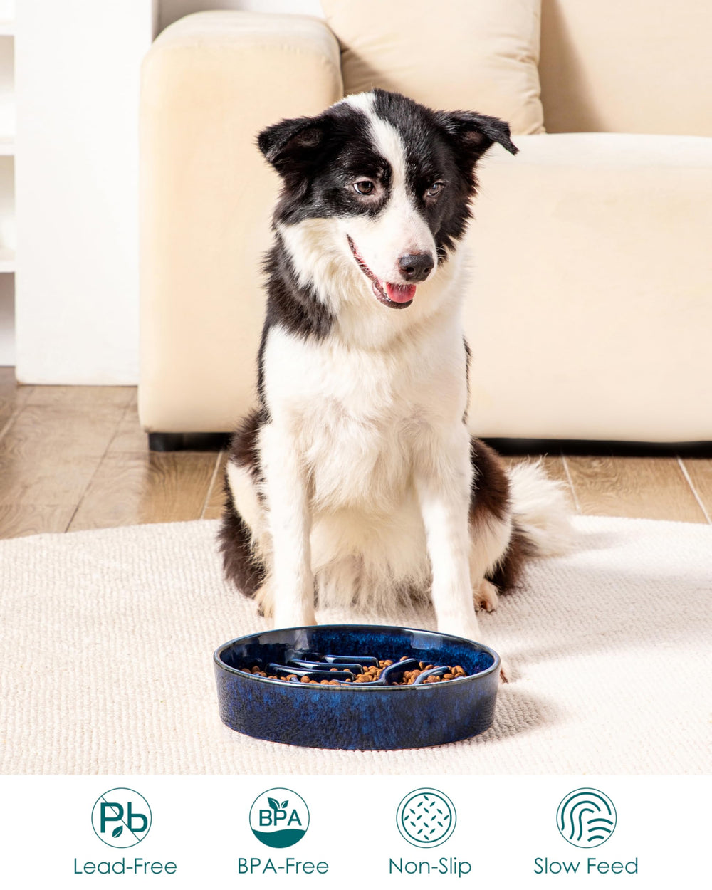 Vancasso slow feeder 3-cup size is ideal for larger dogs' meals.