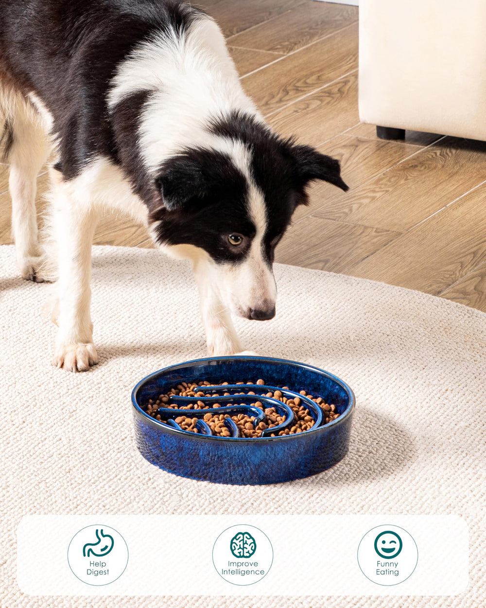 Vancasso puzzle bowl encourages mental engagement during feeding for enriched experiences.