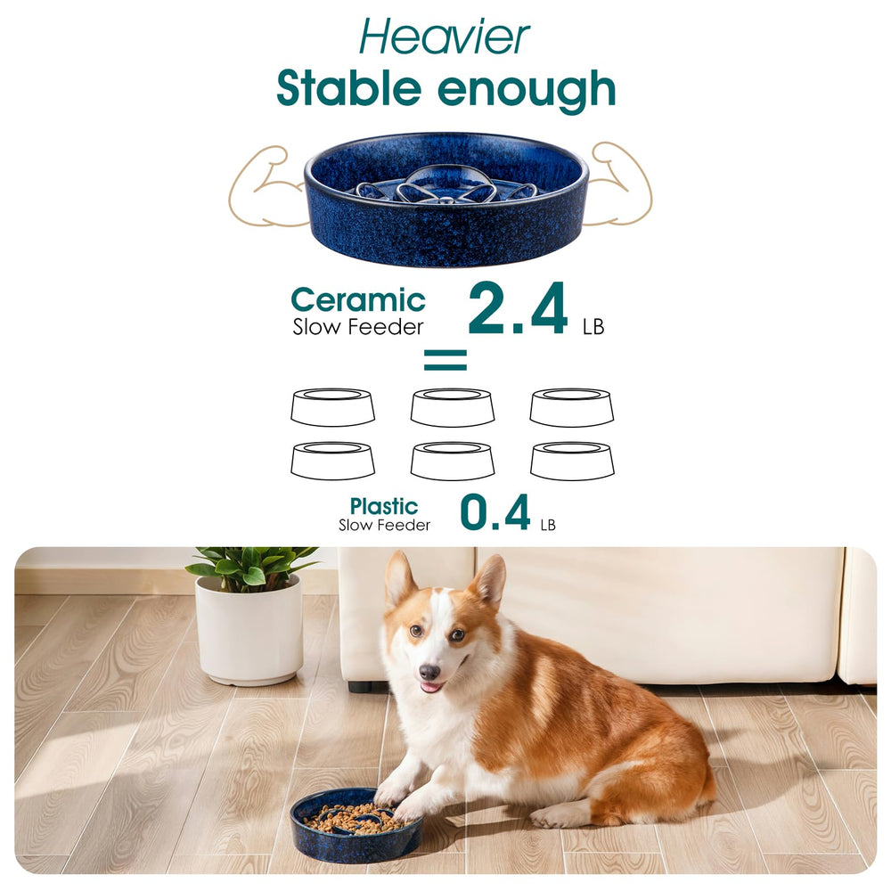 Vancasso slow-feeder bowl weighs 2.4 lb and resists tipping.