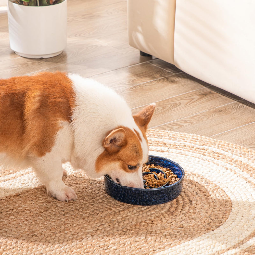 Vancasso slow-feeder bowl supports medium pets like dogs and cats.