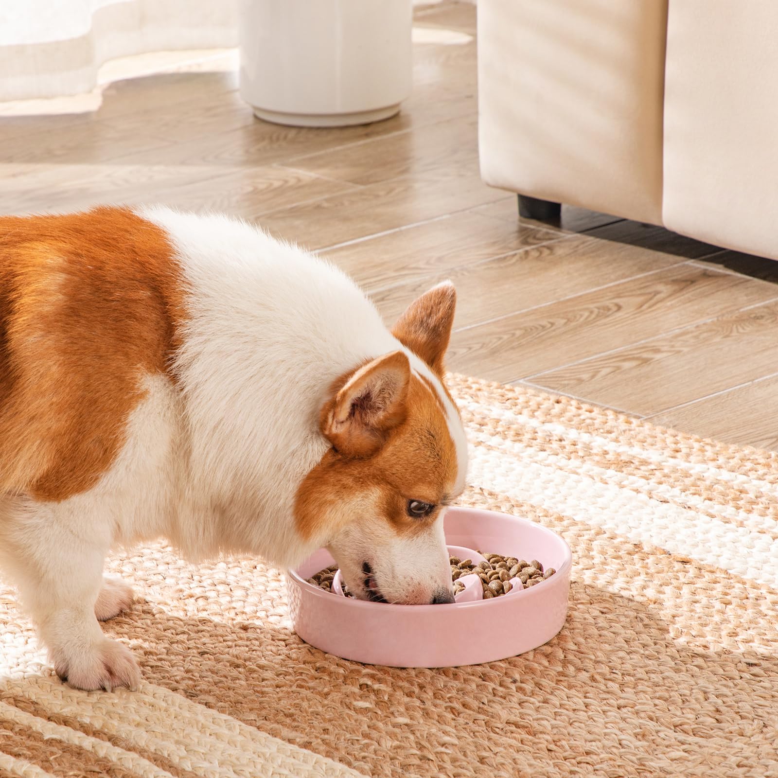 Vancasso 1.5 cup capacity suits medium breeds for measured portions