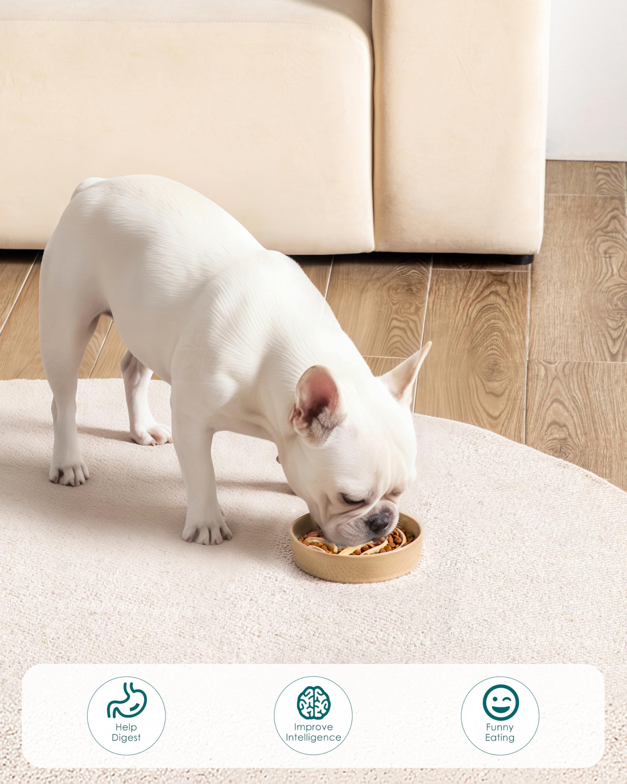 Vancasso mealtime puzzle image shows engaging feeding that combats boredom.