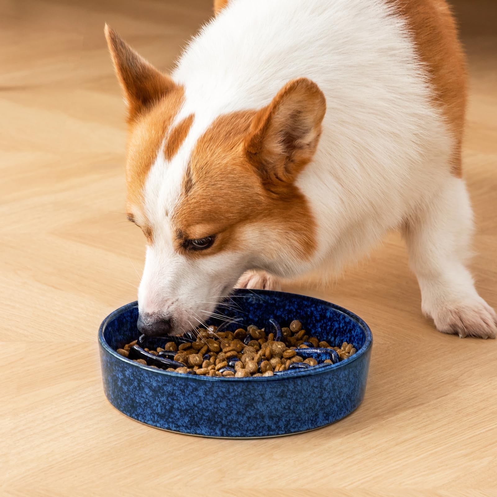Vancasso stable base supports slow, mindful eating for busy pups