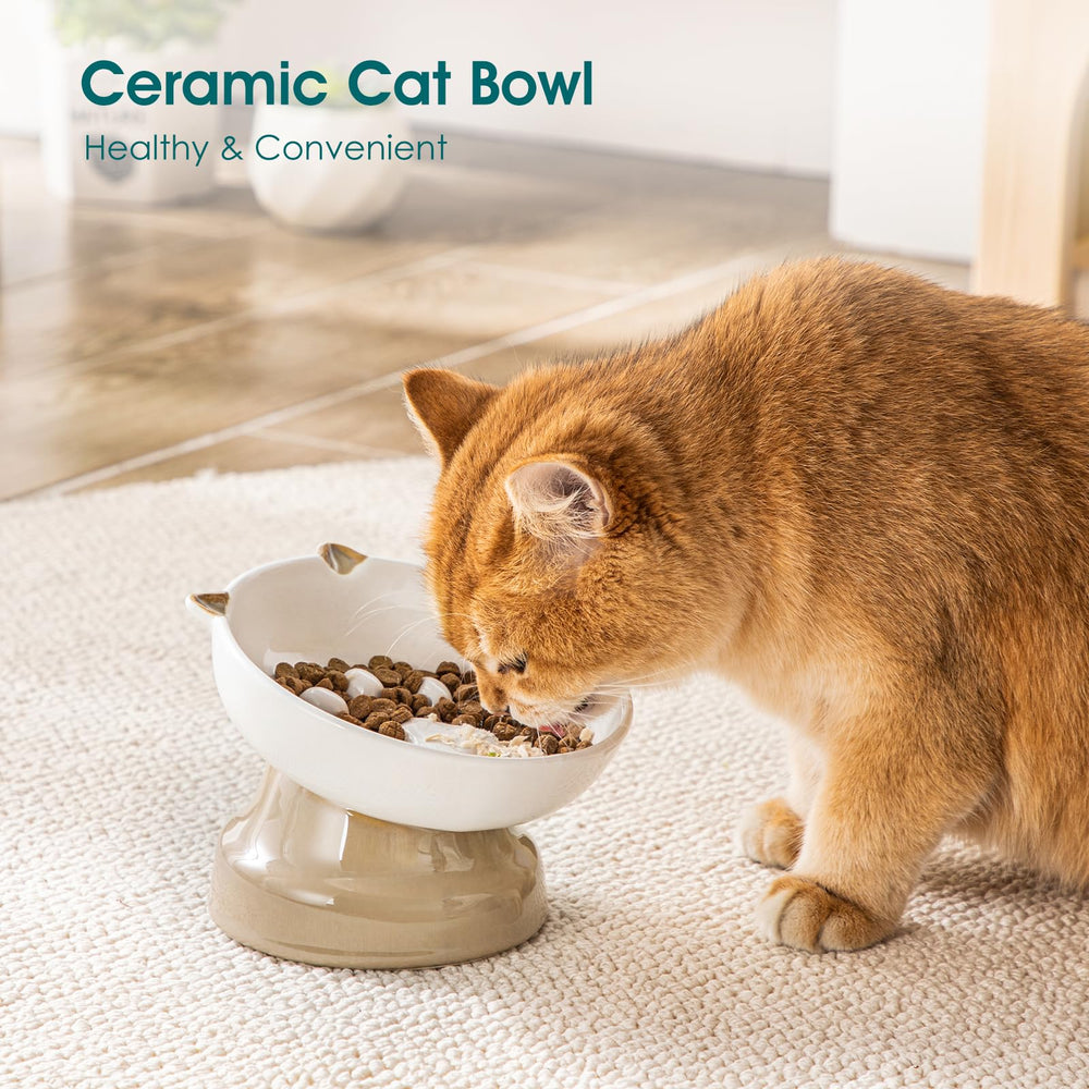 Vancasso wet-food-compatible cat bowl handles mixed meals.