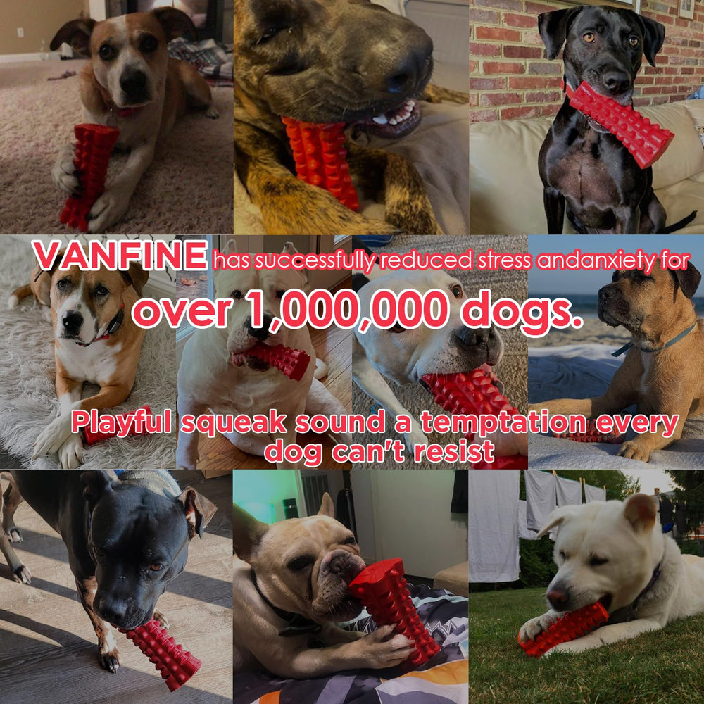 VANFINE Indestructible Squeaky Dog Toy giant-chewer in action for aggressive dogs