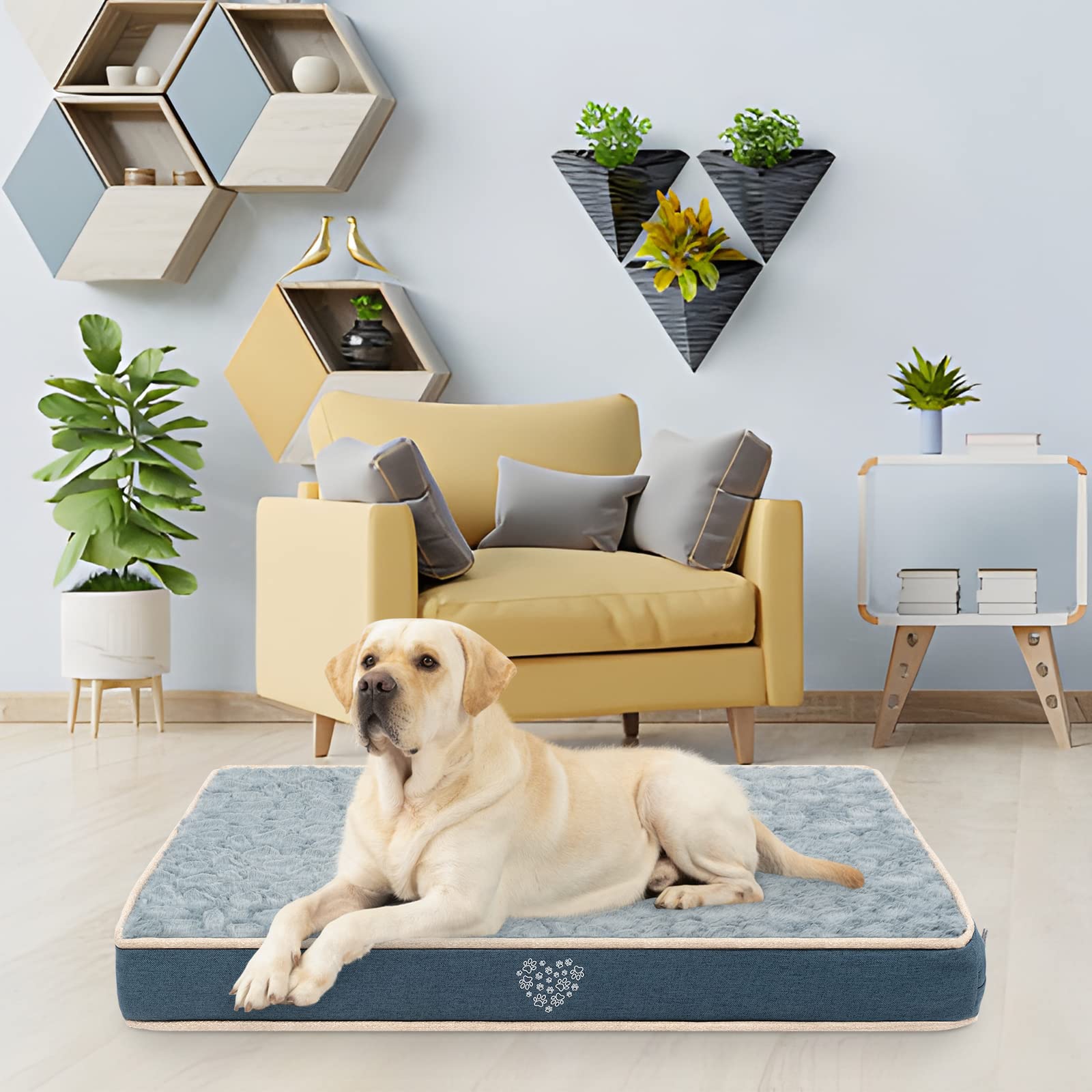 VANKEAN vacuum-packed arrival demonstrates easy setup.