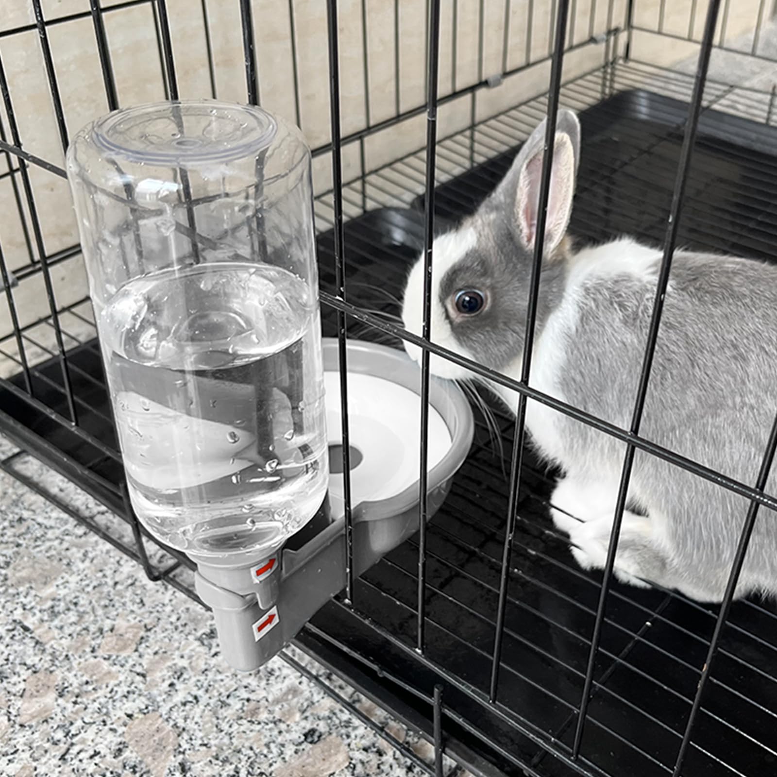 Vannon BPA-free pet water bottle grey ensuring safe hydration