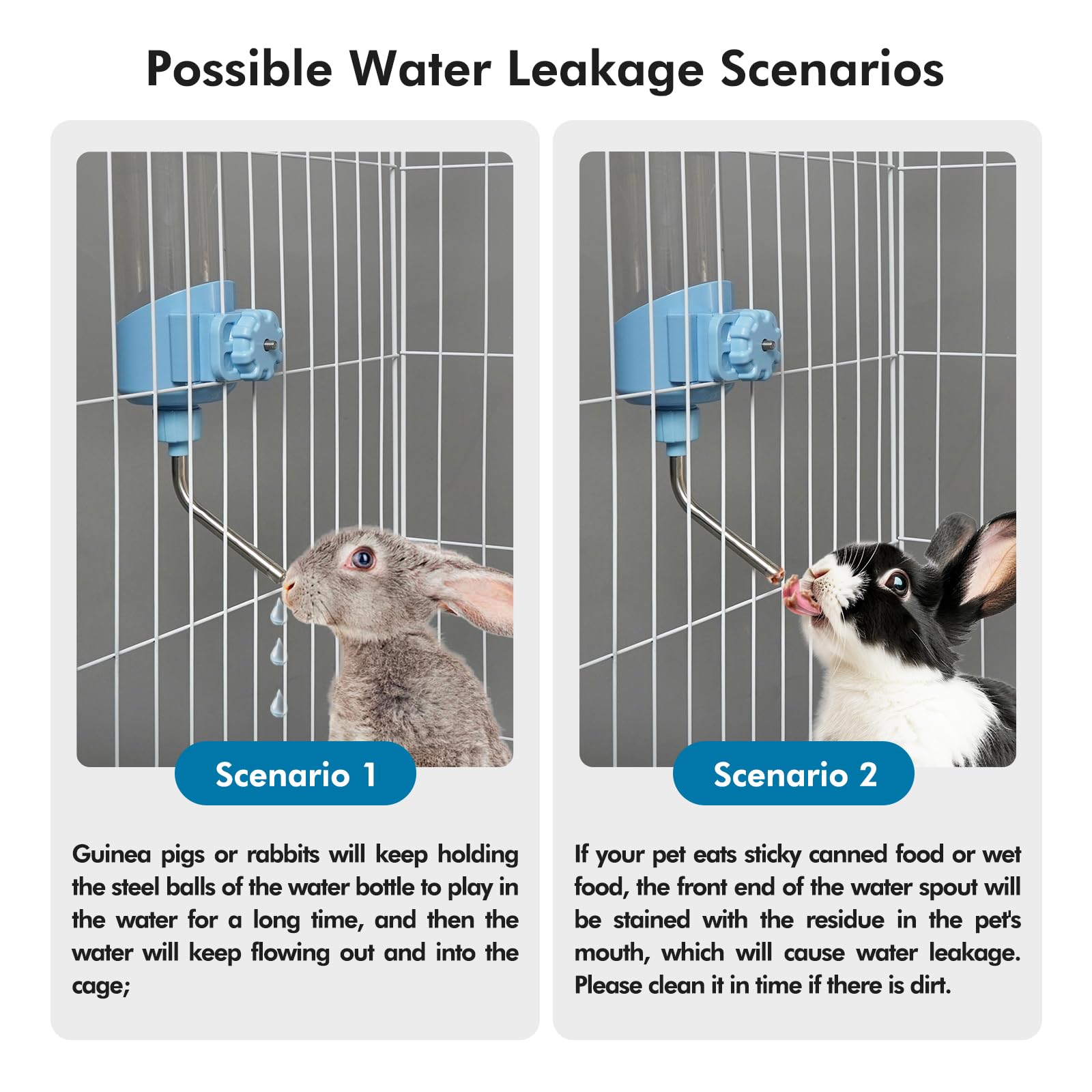 Vannon BPA-free plastic bottle ensures safe drinking for rabbits and friends.