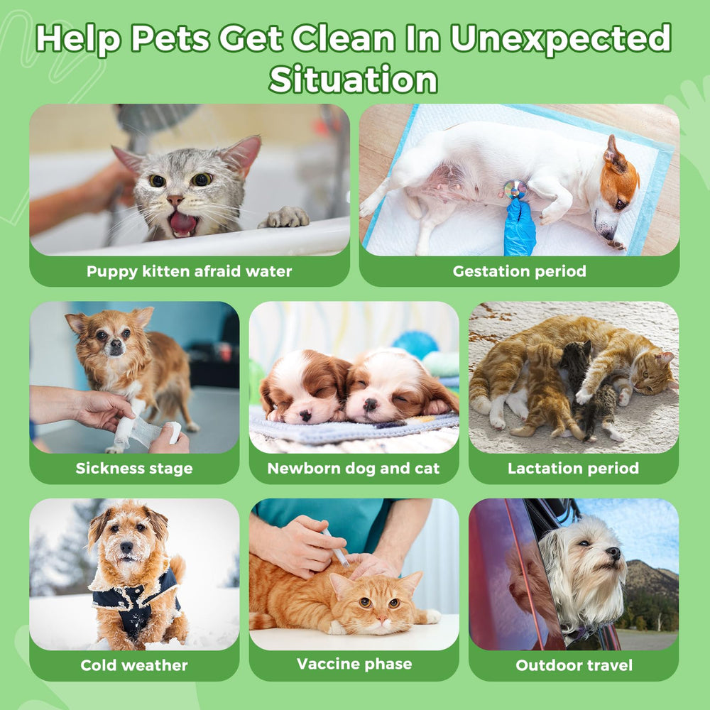 Vannon coconut-scented wipes close-up for grooming sessions