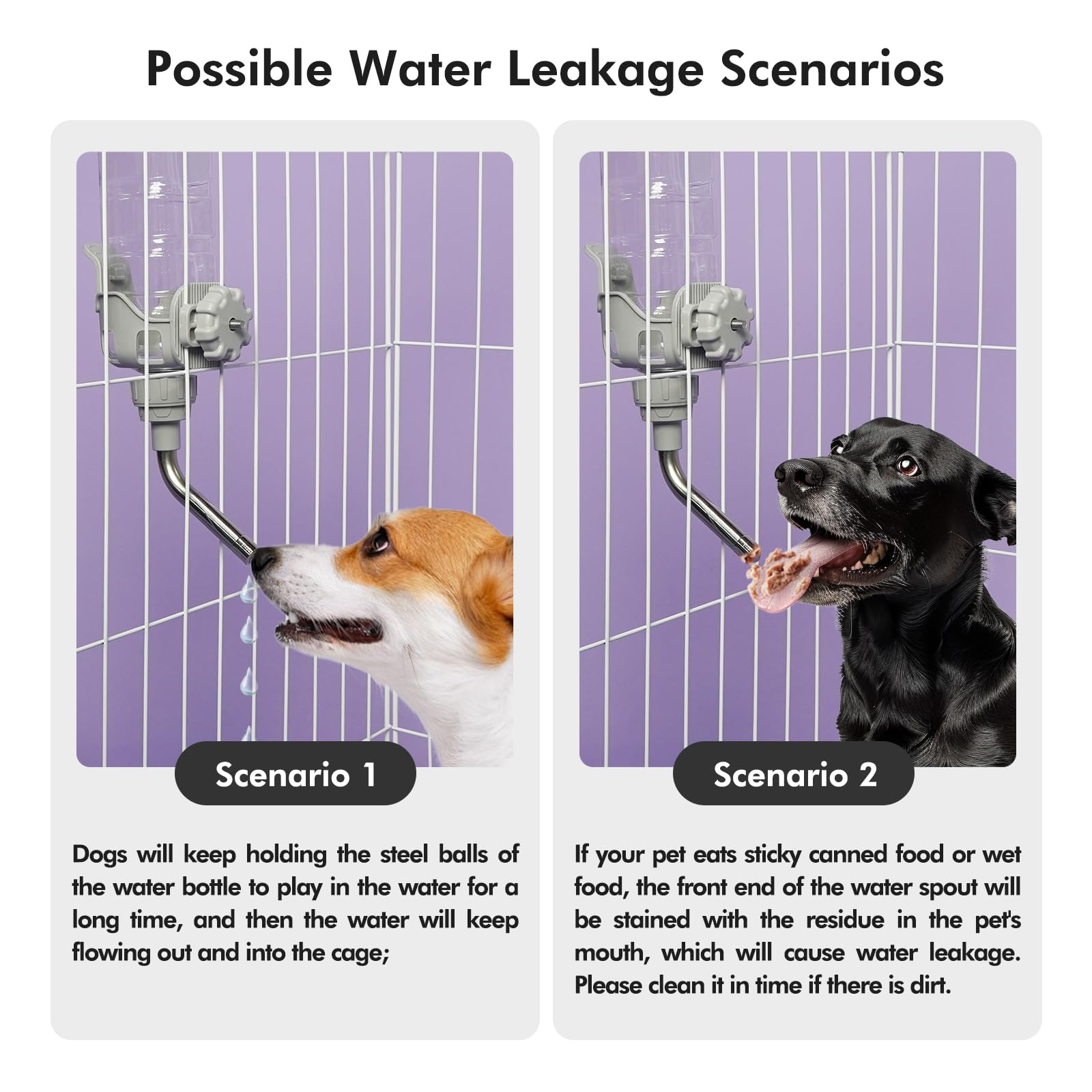 Vannon water dispenser mounted in cage for crate-friendly hydration