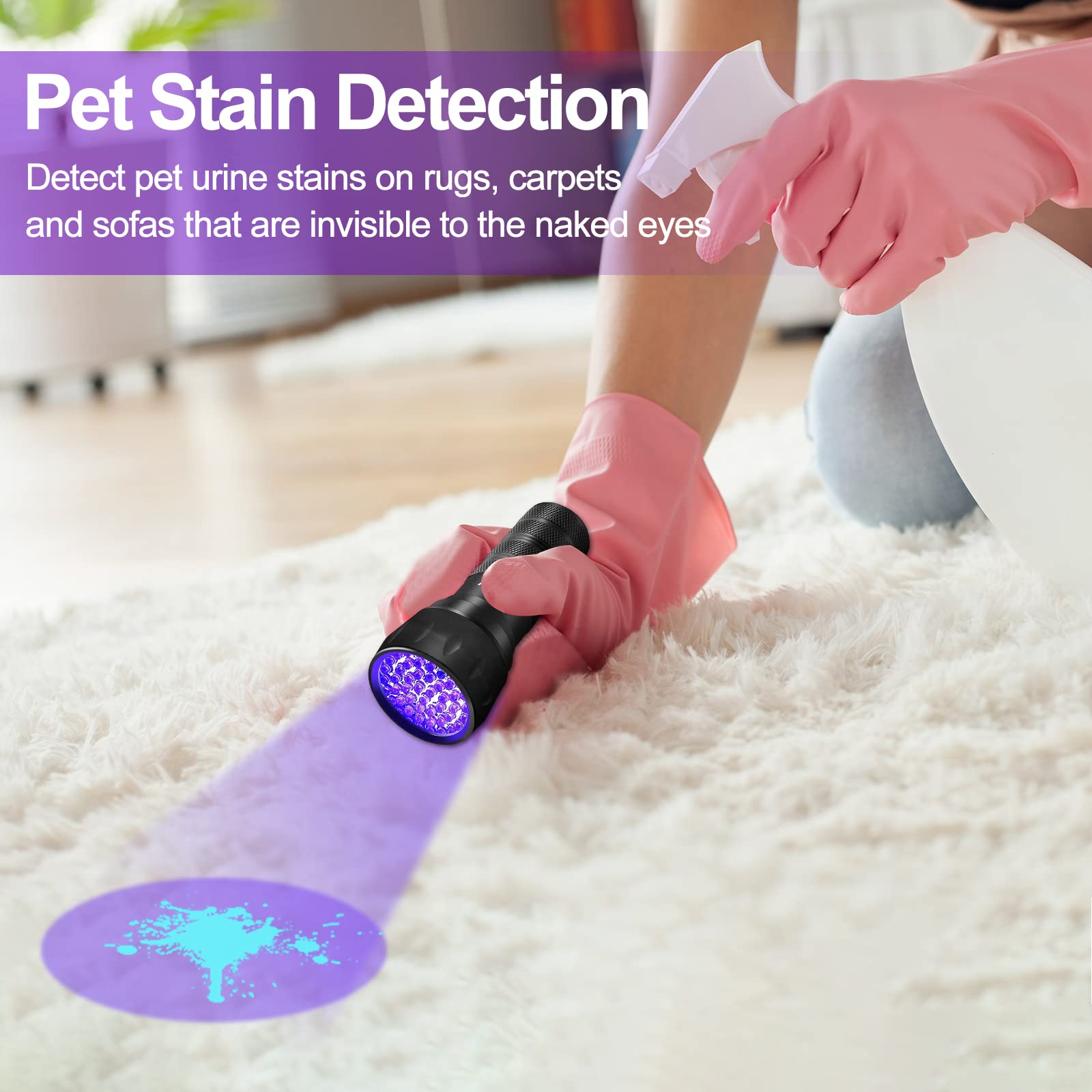 Vansky pet urine stain detector reveals dry spots before cleaning.