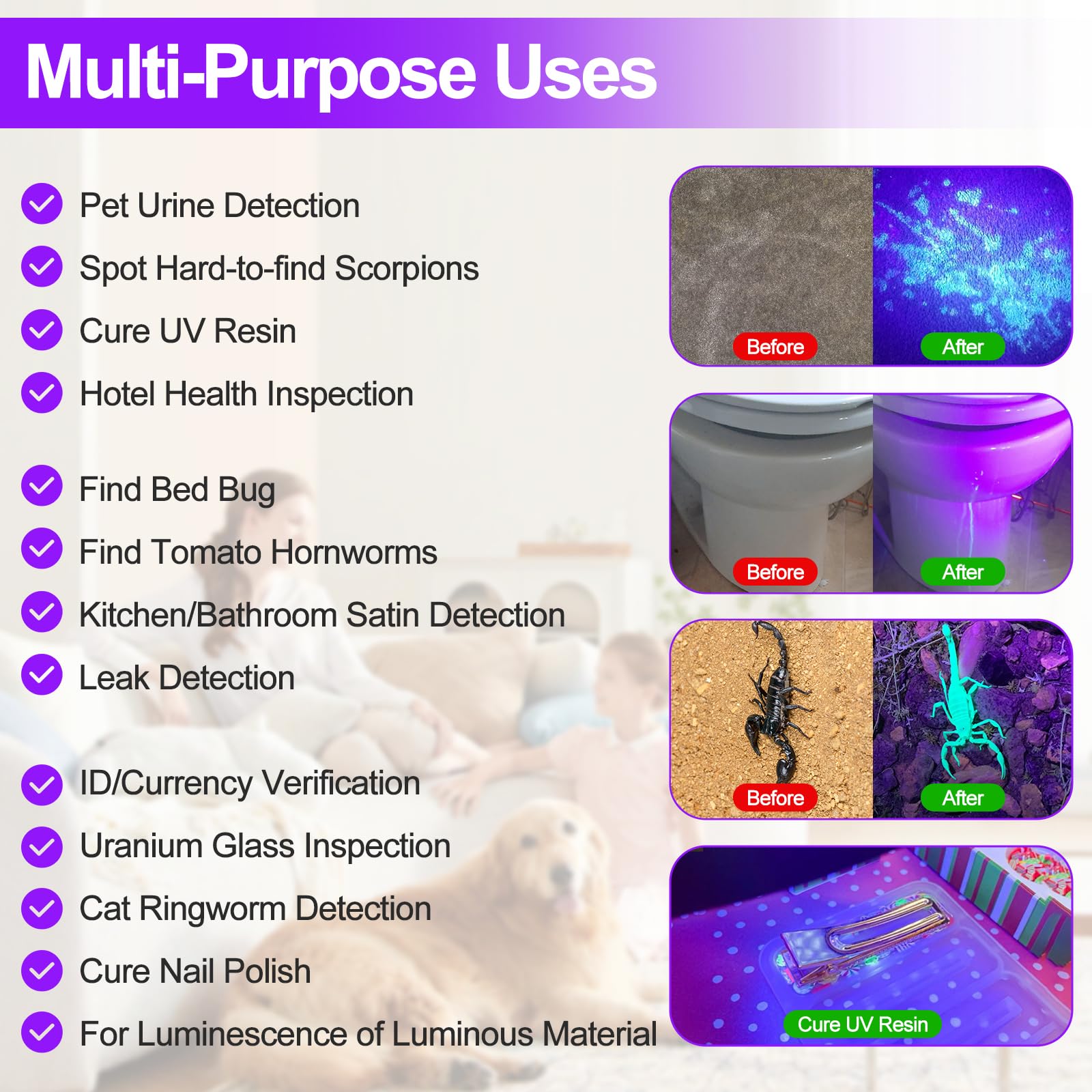 Vansky UV flashlight with 21 LEDs offers portable stain detection on the go.