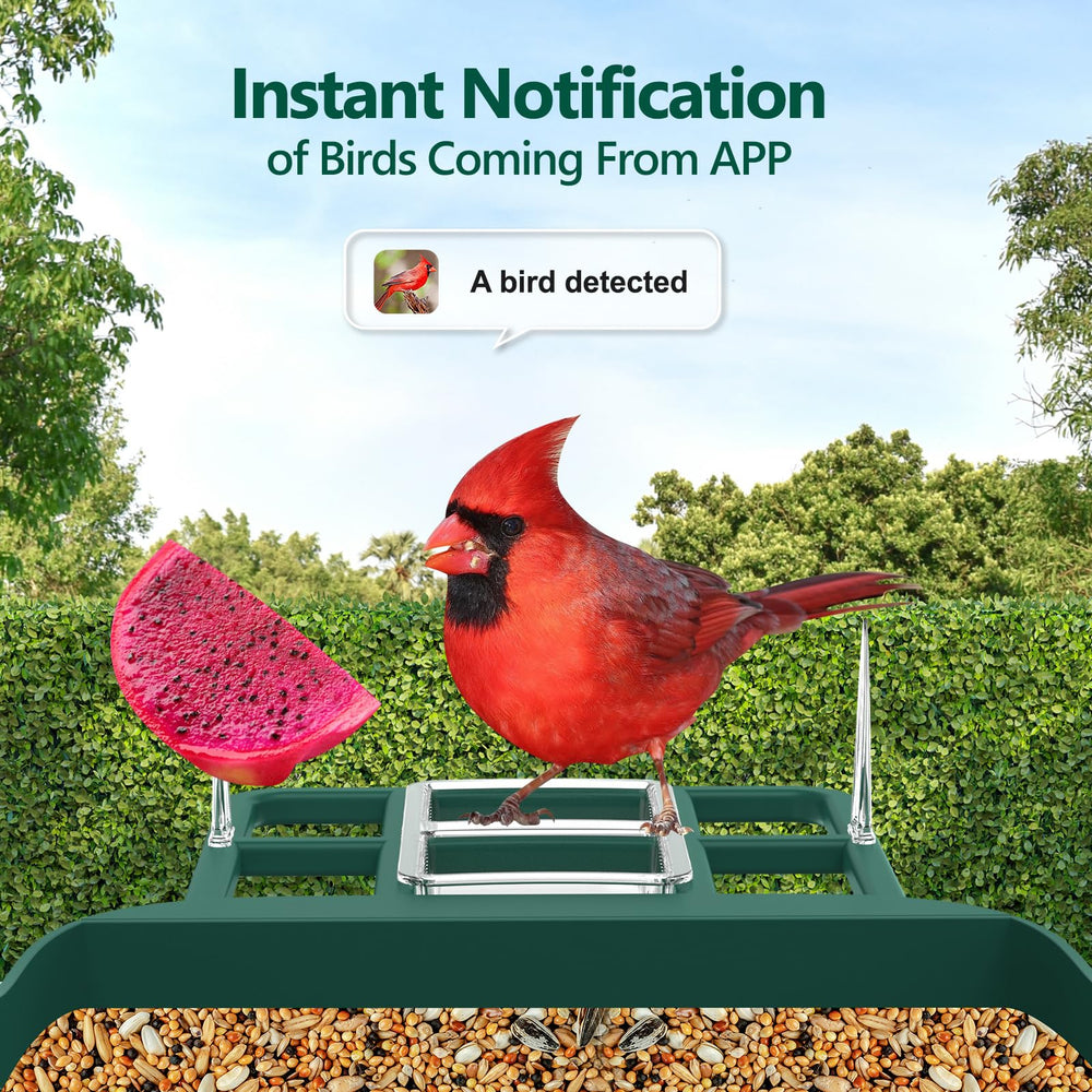 Vatjubi Bird Feeder with Camera AI identify scene highlights species recognition and alerts.