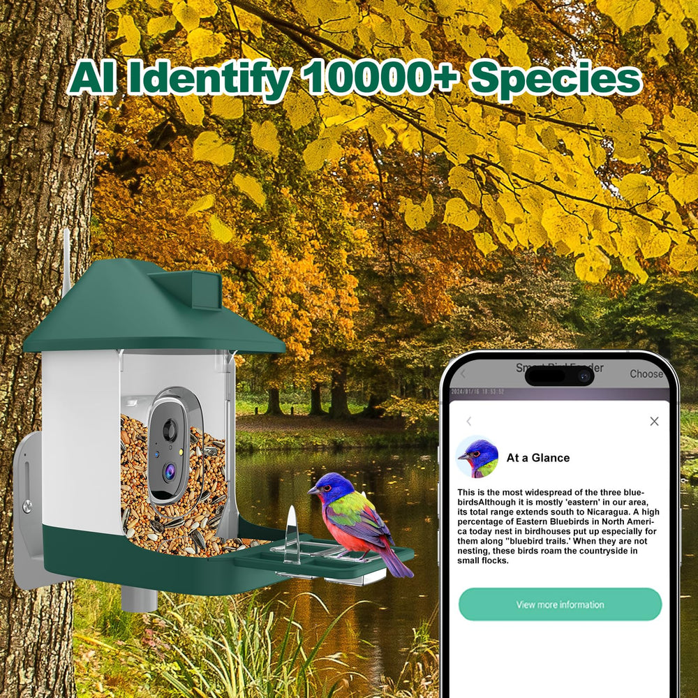 Vatjubi bird feeder camera night vision for 24/7 wildlife viewing