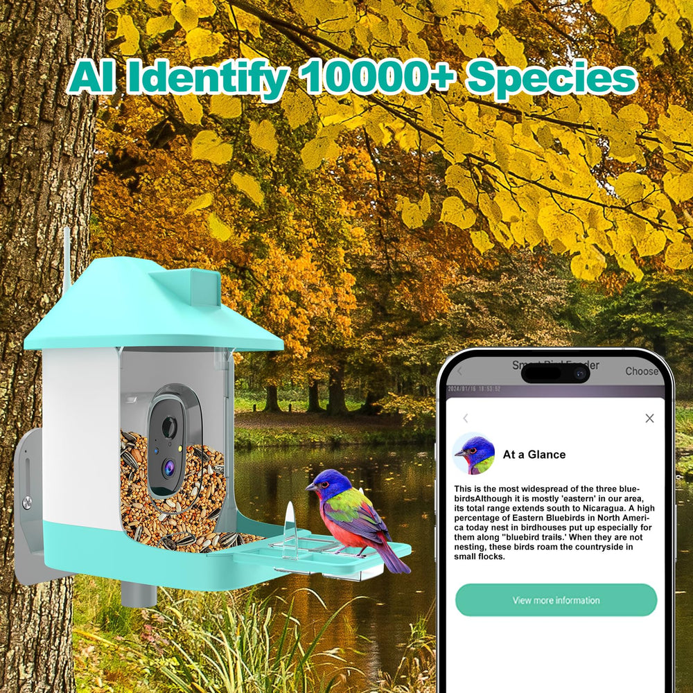 Vatjubi Bird Feeder camera night vision enables 24/7 backyard monitoring.