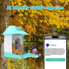 Vatjubi Bird Feeder camera night vision enables 24/7 backyard monitoring.